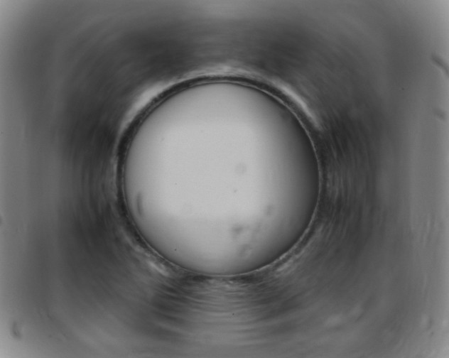 X0000097821270200803140758