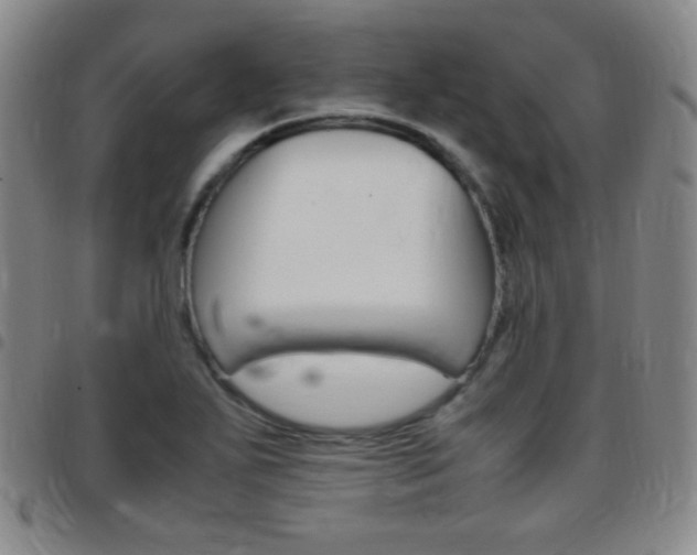 X0000097821271200803140758