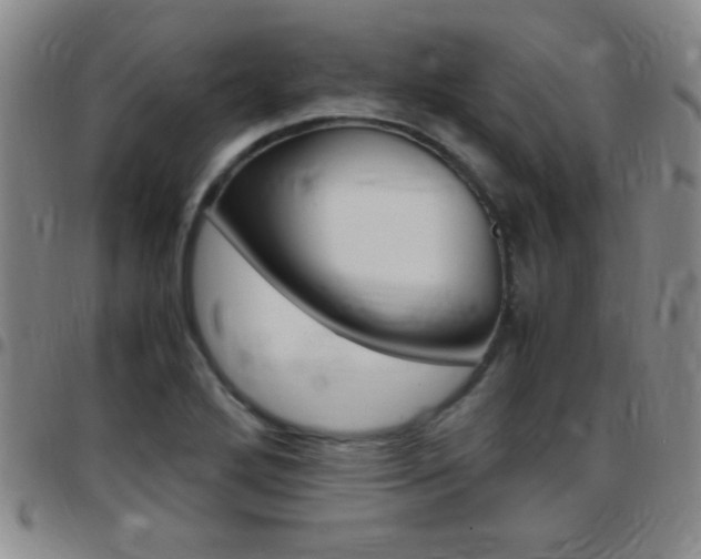 X0000097821272200803140758