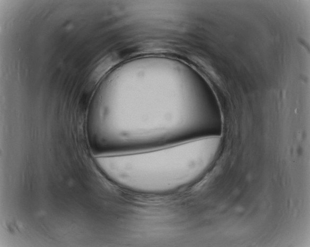 X0000097821273200803140758