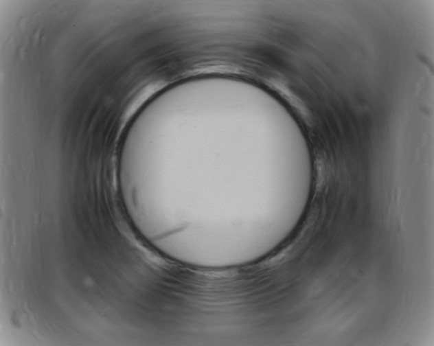 X0000097821274200803140758