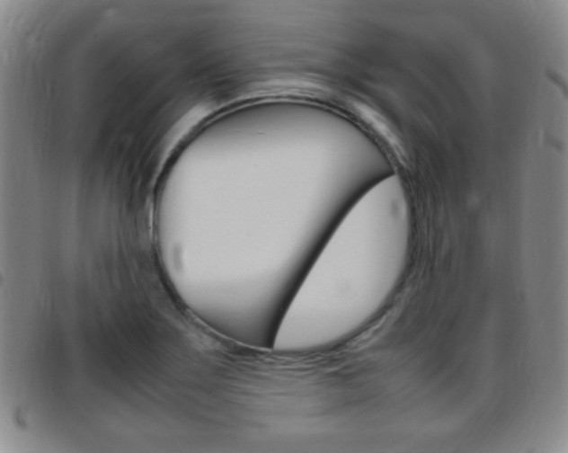 X0000097821275200803140758