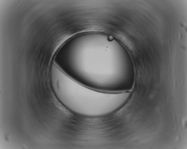 X0000097821276200803140758