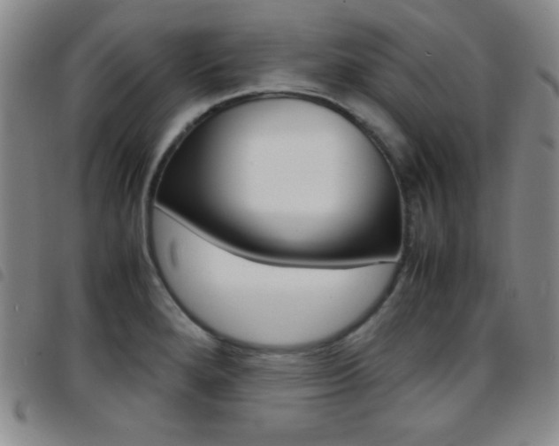 X0000097821280200803140758