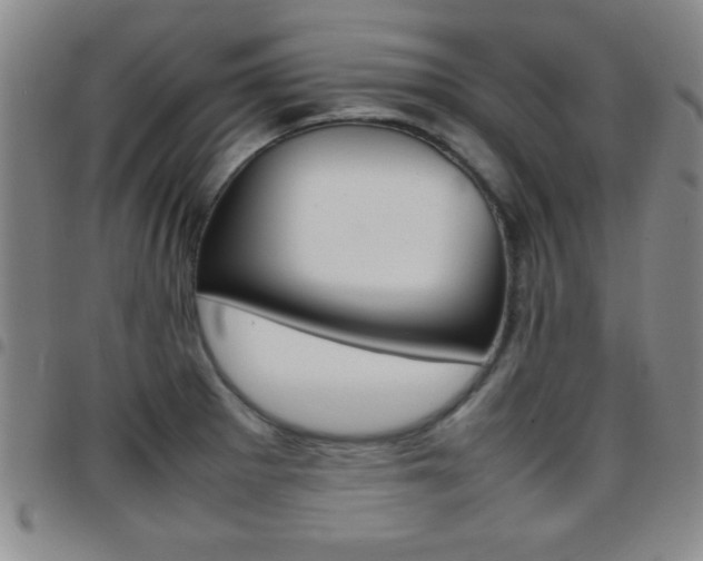 X0000097821281200803140758