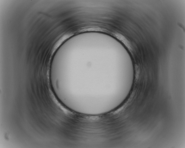 X0000097821282200803140758