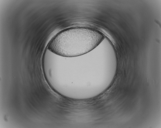 X0000097821283200803140757