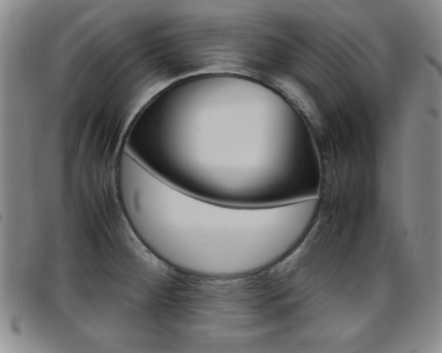 X0000097821284200803140757