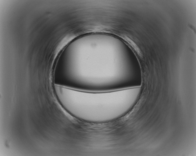 X0000097821285200803140757