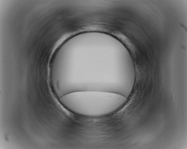 X0000097821286200803140757