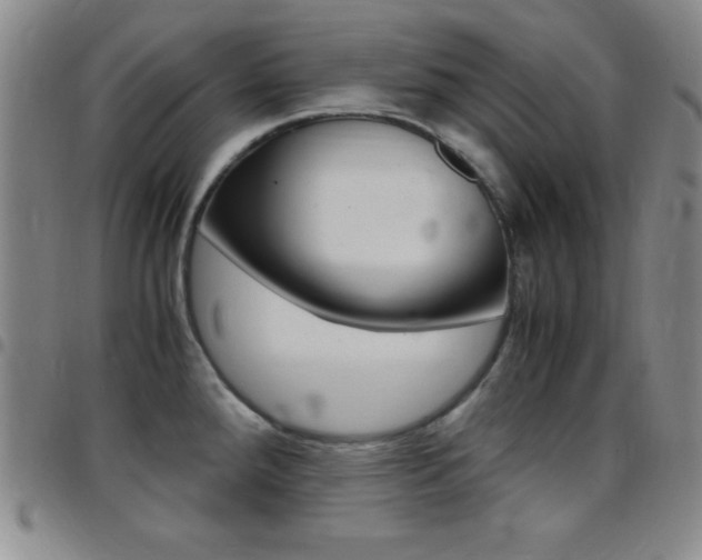 X0000097821288200803140757