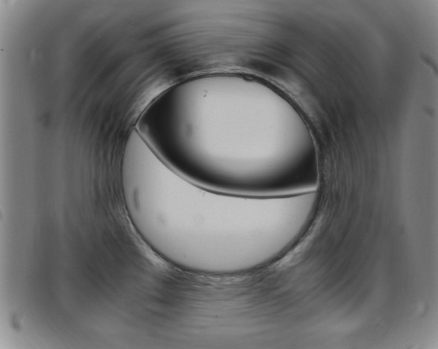 X0000097821289200803140757