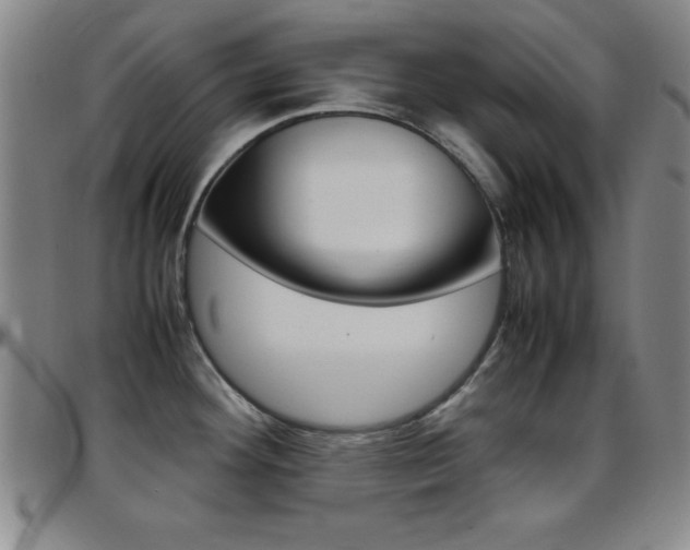 X0000097821292200803140757