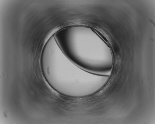 X0000097821293200803140757