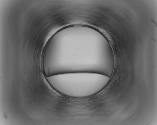 X0000097821295200803140757