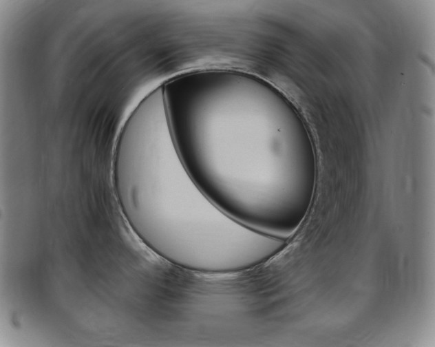 X0000097821296200803140757