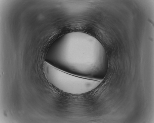 X0000097821297200803140757