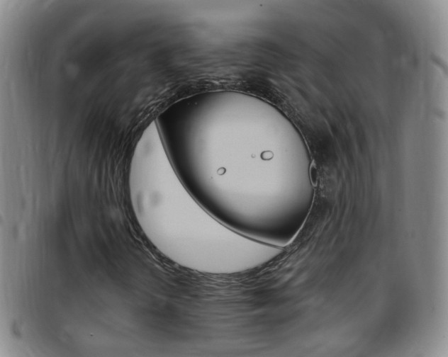 X0000097821298200803140757