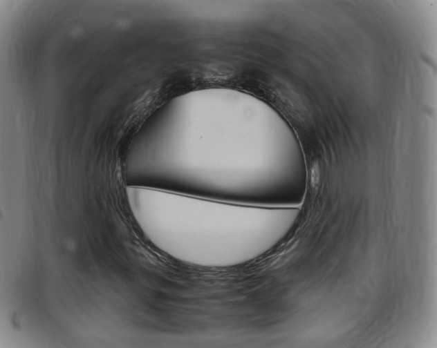 X0000097821299200803140757