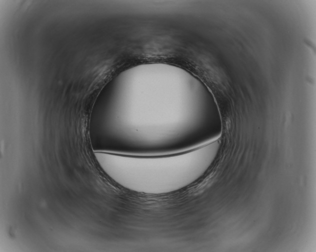 X0000097821300200803140757