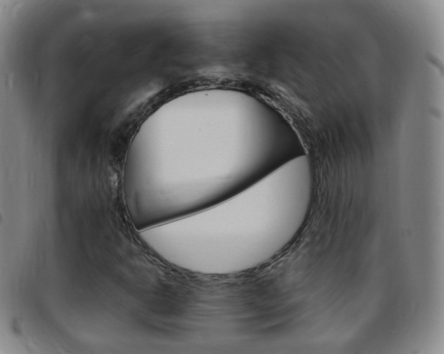 X0000097821302200803140757