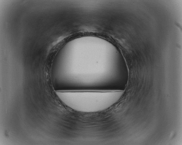 X0000097821303200803140757