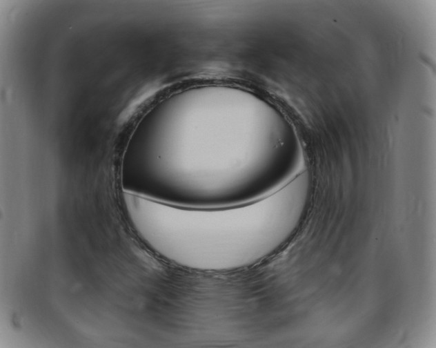 X0000097821304200803140757