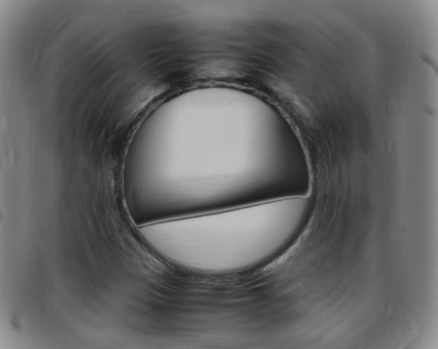 X0000097821305200803140757