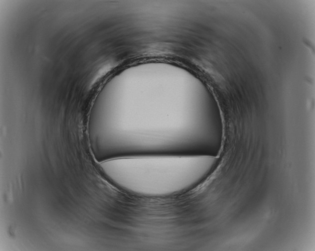 X0000097821306200803140757