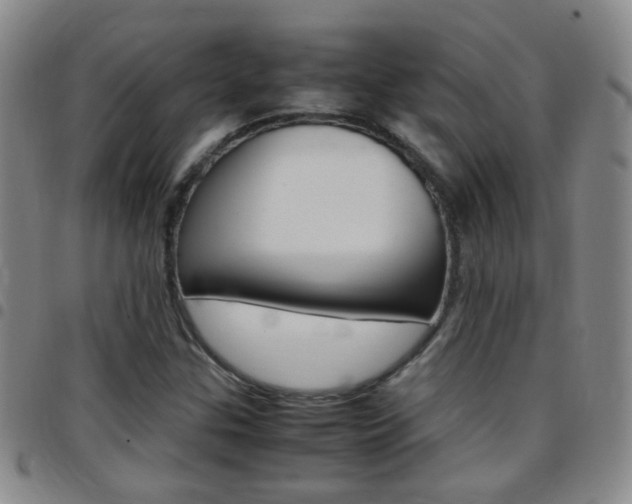 X0000097821307200803140757