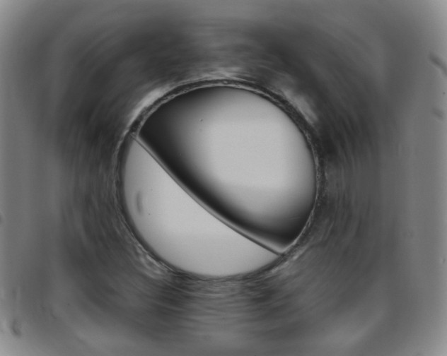 X0000097821308200803140757