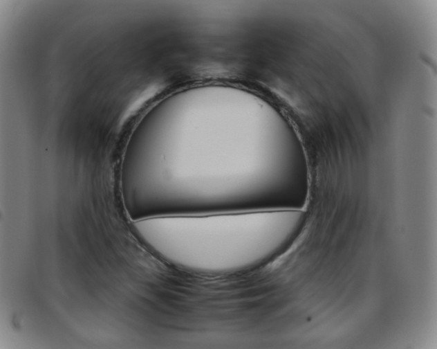X0000097821309200803140757