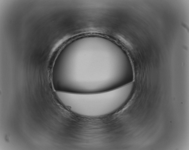 X0000097821310200803140757