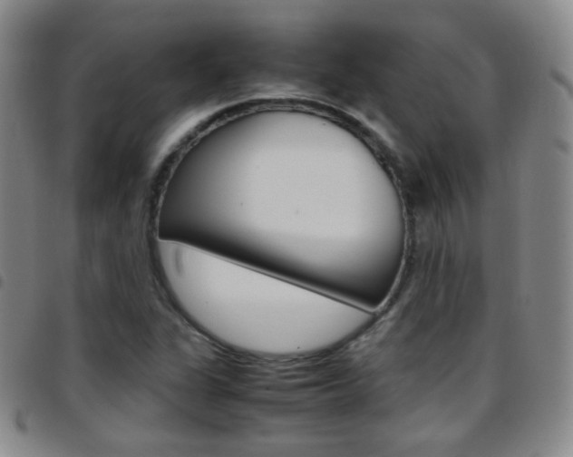 X0000097821311200803140757