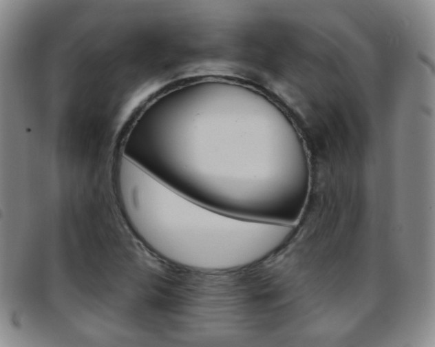 X0000097821312200803140757