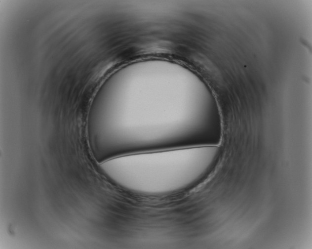 X0000097821313200803140757