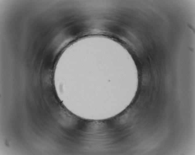 X0000097821314200803140757