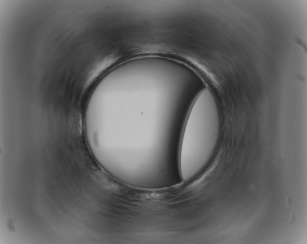 X0000097821317200803140757