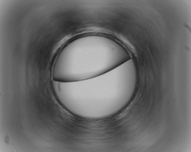 X0000097821318200803140757