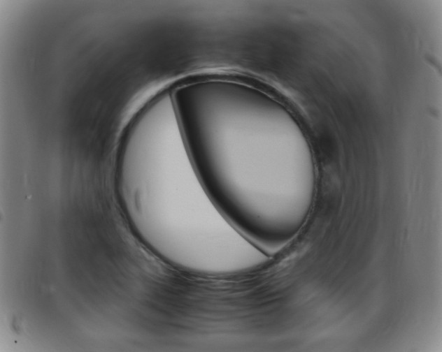 X0000097821319200803140757