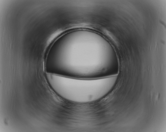 X0000097821320200803140757