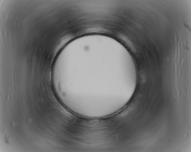 X0000097821322200803140757