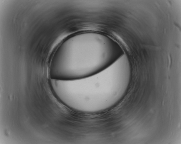X0000097821323200803140757