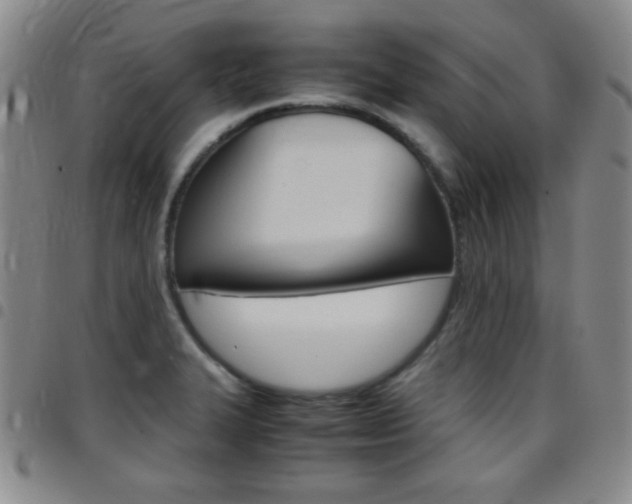 X0000097821327200803140757