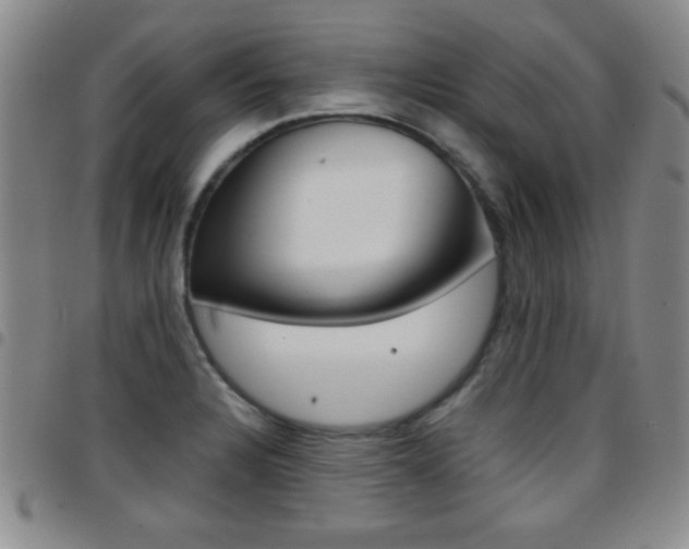 X0000097821328200803140757