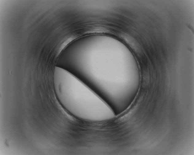 X0000097821329200803140757