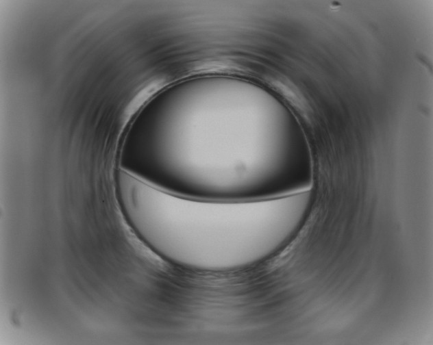X0000097821330200803140757