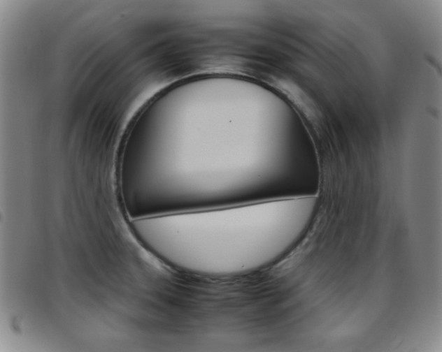 X0000097821331200803140757