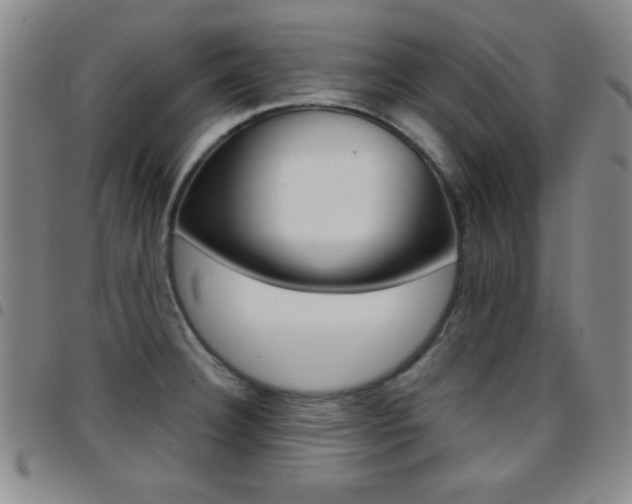 X0000097821332200803140757