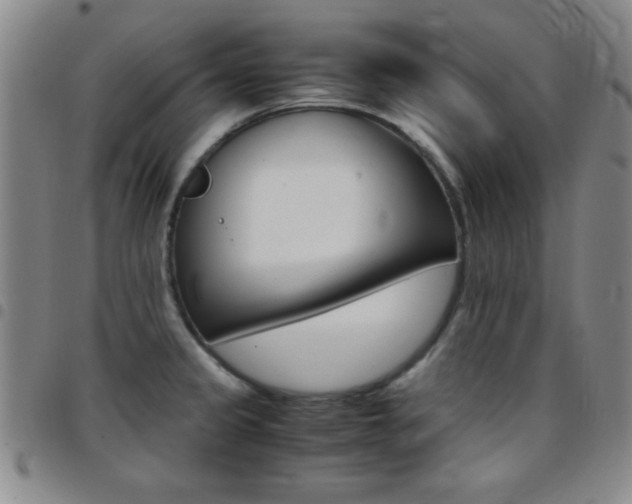 X0000097821333200803140757